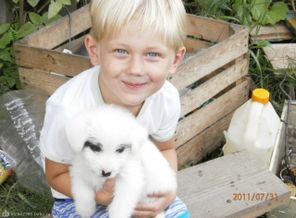 мммммммммм обожаю собак!