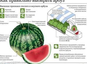 k5hCPLaU7BU