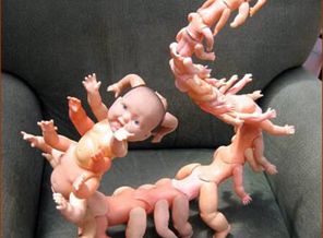 toypedd01