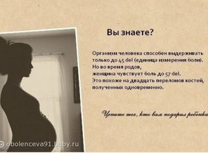 x_9e33bcf8