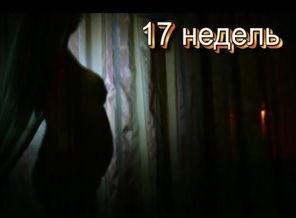 17 недель