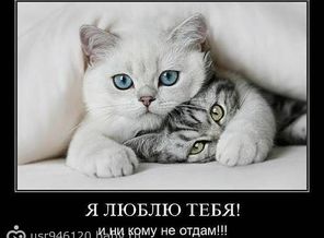 getImage.jpegап
