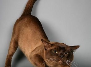 img_0419
