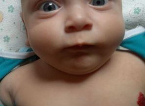 2012-06-07-781_1
