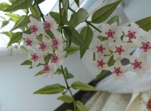 P5130558