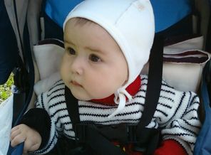 5 месяцев