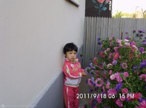 IMG_0203