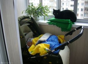 прогулка с охраной