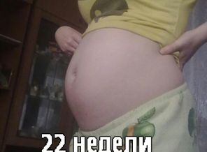 22 недели