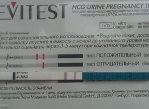 2 полосочки на 13.02.2012 года