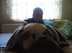 DSCF2318