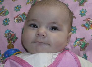 SAM_0481
