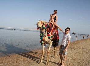 любители животных)