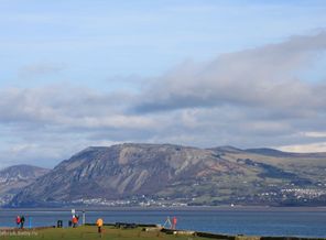 IMG_1521