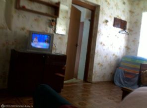 теле