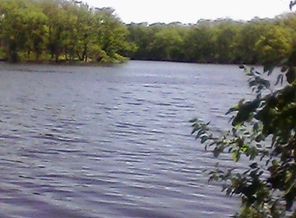 IMG0029A