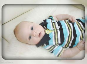 IMG_8306679