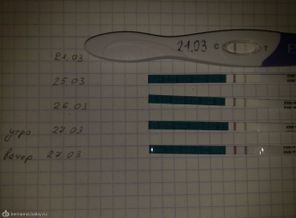 270320121041