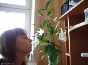 Подарок мужа...)))