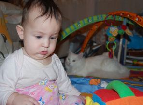 и не забудьте про кота