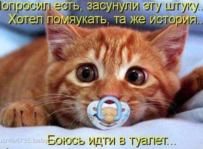 1309907232_1297527377_1296801529_kotomatrix_15