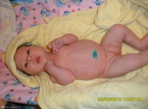 SAM_0613