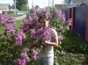 DSC00230