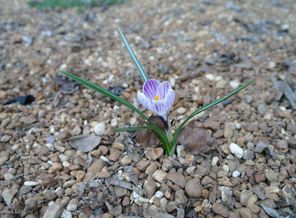 SAM_3646