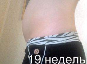 19 недель