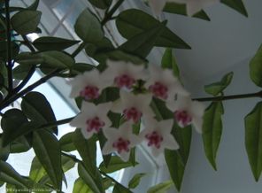 P5130555