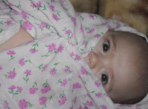 SAM_0306