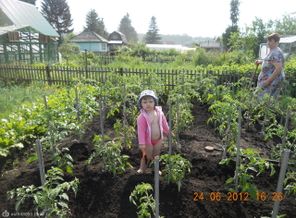 DSCN3317