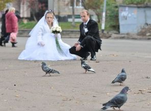 Голуби