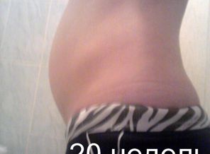 20 недель