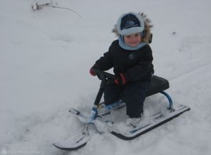 IMG_3604