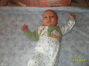 SAM_2286