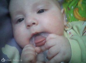 IMG0109A