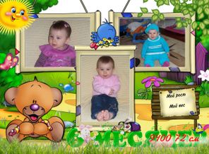 6 месяцев