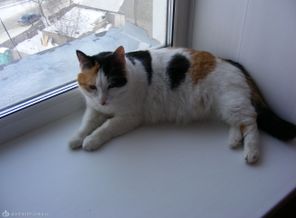 DSCF2552