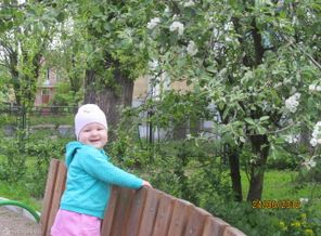 IMG_0056
