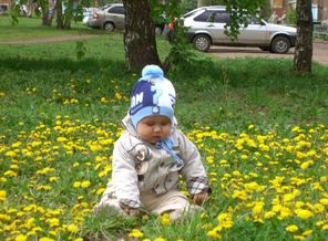 PICT2264