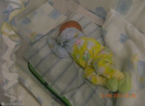 DSCN1354