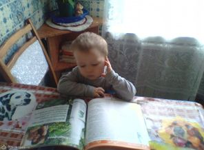 Читаем