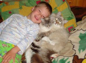 любимые кошаки