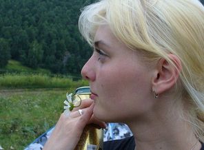День сисадмина