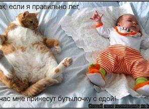 Дети и животные