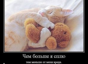 getImage.jpegфффф