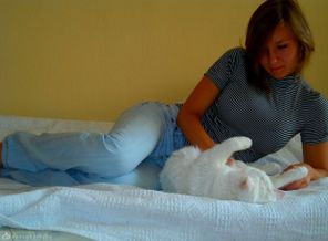 люблю котика