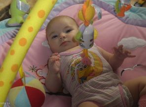 SAM_0410