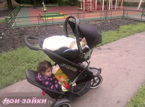 мои малыши